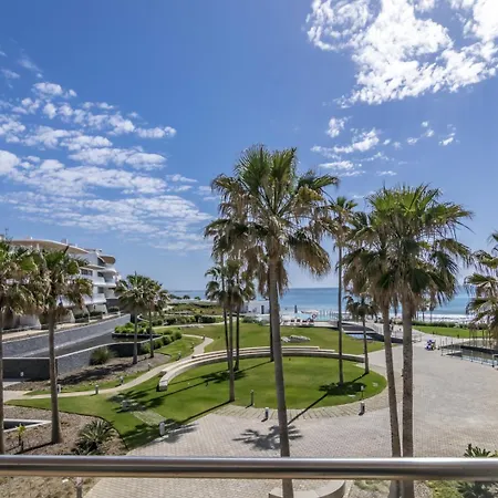 Apartment Theedgebythesea Octopuse
